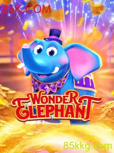 Descubra o Universo Fascinante de WonderElephant